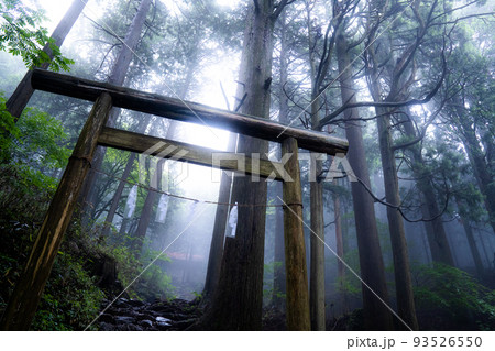 奥多摩の雲の中の鳥居 奥多摩の雲の中の鳥居 93526550