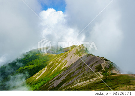 雲の先の白馬の稜線と白馬大池 雲の先の白馬の稜線と白馬大池 93526571