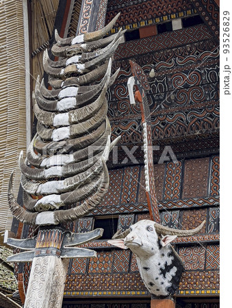 Java, Indonesia, June 13, 2022 - Bulls head and horns mounted on the front of a Toraja home 93526829
