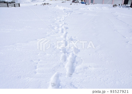 冬の北海道稚内市の風景 93527921