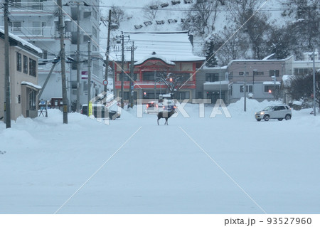 冬の北海道稚内市の風景 93527960