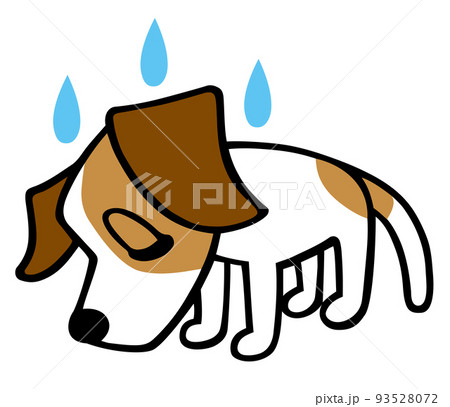 ジャックラッセルテリア犬 反省ポーズ ジャックラッセルテリア犬 反省ポーズ 93528072