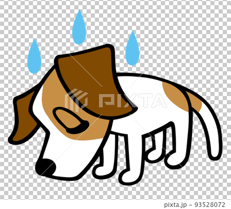 Jack Russell Terrier dog reflection pose Jack Russell Terrier dog reflection pose 93528072