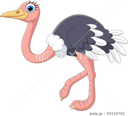 Cartoon ostrich on white background 93530702