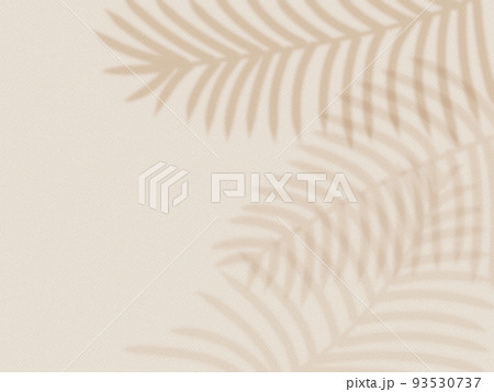 ベージュ色の壁に映るヤシの葉の影背景 93530737