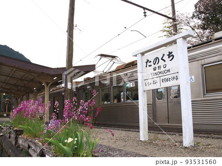大井川鐵道大井川本線の「たのくち駅」ホームに停車中の電車 大井川鐵道大井川本線の「たのくち駅」ホームに停車中の電車 93531560