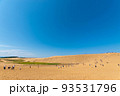 快晴の鳥取砂丘 93531796