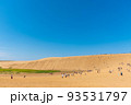 快晴の鳥取砂丘 93531797