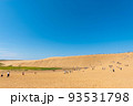 快晴の鳥取砂丘 93531798