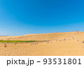 快晴の鳥取砂丘 93531801