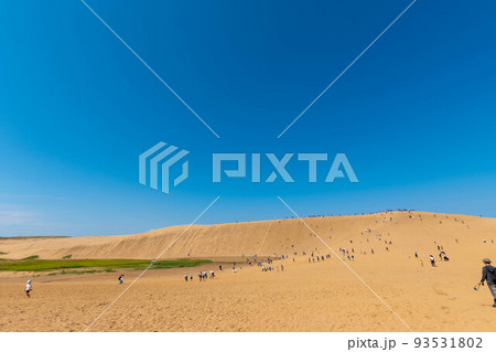 快晴の鳥取砂丘 93531802