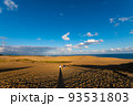 快晴の鳥取砂丘 93531803