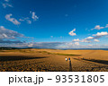 快晴の鳥取砂丘 93531805
