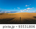 快晴の鳥取砂丘 93531806
