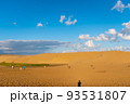 快晴の鳥取砂丘 93531807
