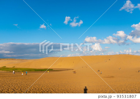 快晴の鳥取砂丘 93531807