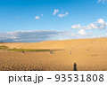快晴の鳥取砂丘 93531808