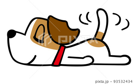 ジャックラッセルテリア犬　リラックスポーズ 93532434