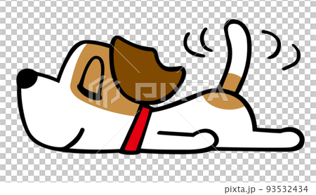 Jack Russell Terrier dog relaxing pose 93532434