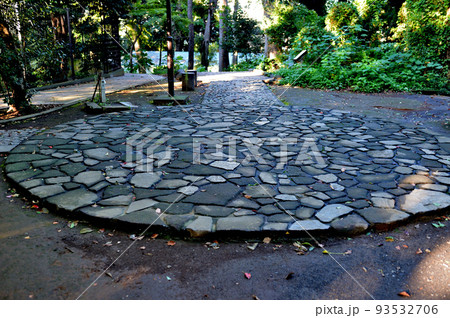 代々木八幡宮境内初秋の風景 代々木八幡宮境内初秋の風景 93532706