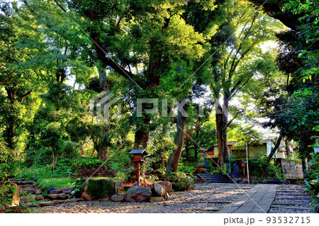 代々木八幡宮境内初秋の風景 93532715