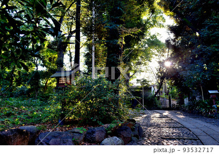 代々木八幡宮境内初秋の風景 93532717