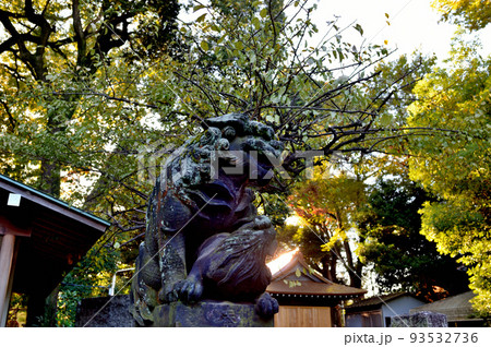 代々木八幡宮境内初秋の風景 93532736