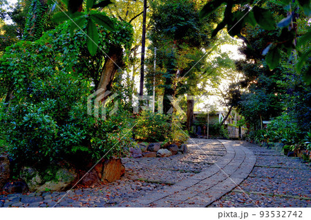代々木八幡宮境内初秋の風景 93532742