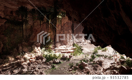 view from inside a dark cave with green plants and light on the exit 93532785