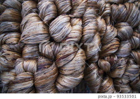 Thick Golden bundle of Wet raw jute fiber Texture Background 93533501