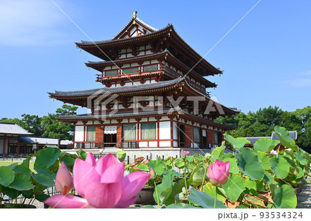 夏の奈良市の世界文化遺産薬師寺の金堂 夏の奈良市の世界文化遺産薬師寺の金堂 93534324