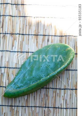 うちわさぼてん うちわさぼてん 93535183