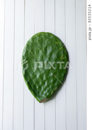 うちわさぼてん うちわさぼてん 93535214