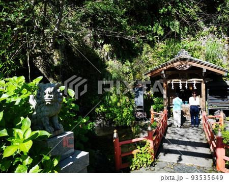 銭洗い弁天で参拝 93535649