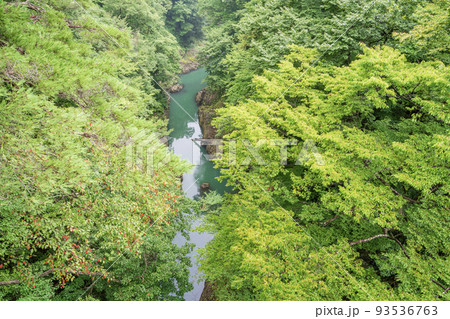 (群馬県)猿橋から見下ろす、深緑の吾妻峡 (群馬県)猿橋から見下ろす、深緑の吾妻峡 93536763