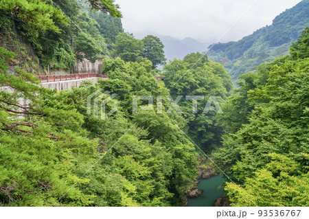 （群馬県）猿橋から見下ろす、深緑の吾妻峡 93536767