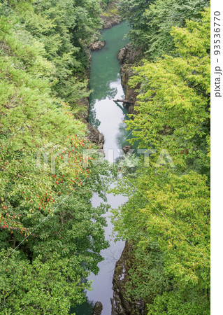 （群馬県）猿橋から見下ろす、深緑の吾妻峡 93536770