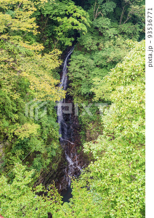 （群馬県）猿橋から見下ろす、深緑の吾妻峡 93536771