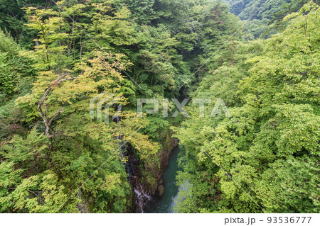 （群馬県）猿橋から見下ろす、深緑の吾妻峡 93536777