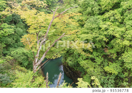 (群馬県)猿橋から見下ろす、深緑の吾妻峡 (群馬県)猿橋から見下ろす、深緑の吾妻峡 93536778