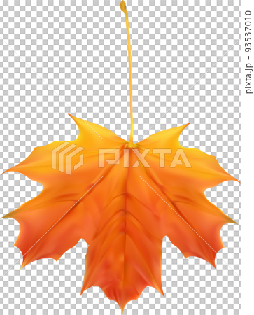 Autumn Fall Leaf Autumn Fall Leaf 93537010