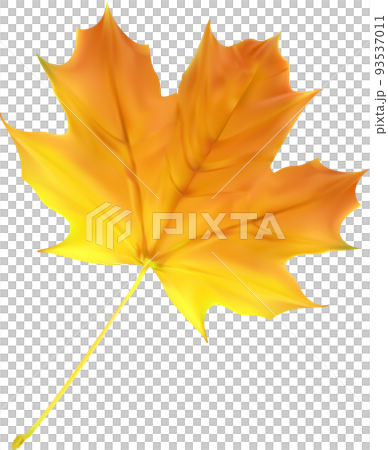 Autumn Fall Leaf 93537011