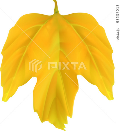 Autumn Fall Leaf Autumn Fall Leaf 93537013