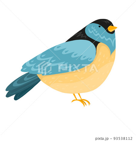 Vector illustration of fantastic colorful unusual bird in a vivid design. Tropical fauna style 93538112