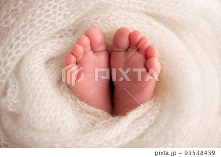 Soft feet of a newborn in a white woolen blanket. Close-up of toes, heels and feet of a newborn baby. The tiny foot of a newborn. Studio Macro photography. Baby feet covered with isolated background. Soft feet of a newborn in a white woolen blanket. Close-up of toes, heels and feet of a newborn baby. The tiny foot of a newborn. Studio Macro photography. Baby feet covered with isolated background. 93538459