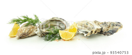 Concept of delicious seafood, oysters isolated on white background Concept of delicious seafood, oysters isolated on white background 93540753