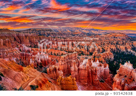 Panoramic view of Bryce Canyon National Park at sunset - Utah, USA. Concept World Famous Place Panoramic view of Bryce Canyon National Park at sunset - Utah, USA. Concept World Famous Place 93542638