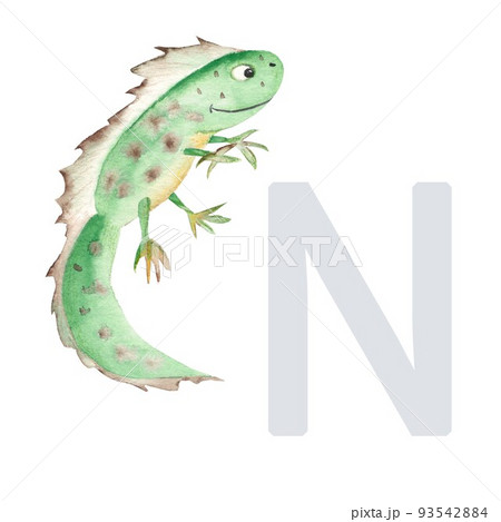 Letter N, newt, cute kids animal ABC alphabet. Watercolor illustration isolated on white background. Can be used for alphabet or cards for kids learning English vocabulary and handwriting Letter N, newt, cute kids animal ABC alphabet. Watercolor illustration isolated on white background. Can be used for alphabet or cards for kids learning English vocabulary and handwriting 93542884