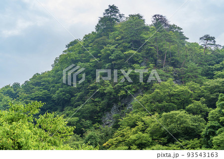 （群馬県）深緑の吾妻峡　遊歩道から見上げる布袋岩 93543163