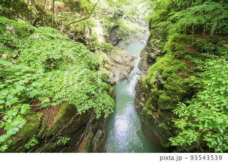 （群馬県）深緑の吾妻峡・鹿飛橋から眺める下流側 93543539